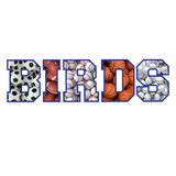 Highlands Sports Balls Birds Apparel (toddler/infant)