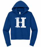 Highlands H Distressed Graphic Cropped Hoodie