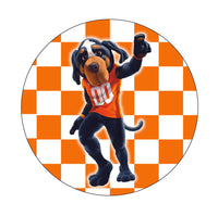 University of Tennessee Car Coasters (Set of 2)