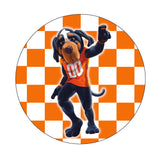 University of Tennessee Car Coasters (Set of 2)