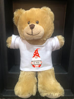 Valentine's Teddy Bear