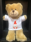 Valentine's Teddy Bear