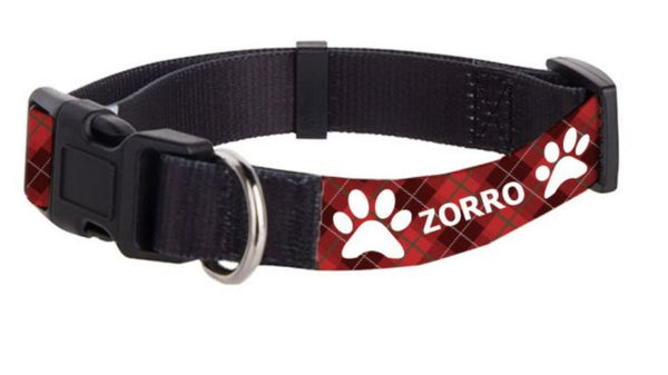 Personalized Dog Collar (2 sizes)