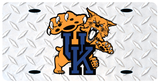 University of Kentucky License Plate